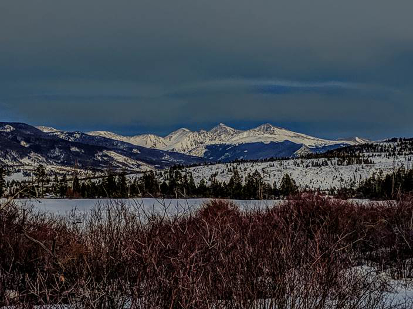 Contact Real Estate Company in Frisco, CO Omni