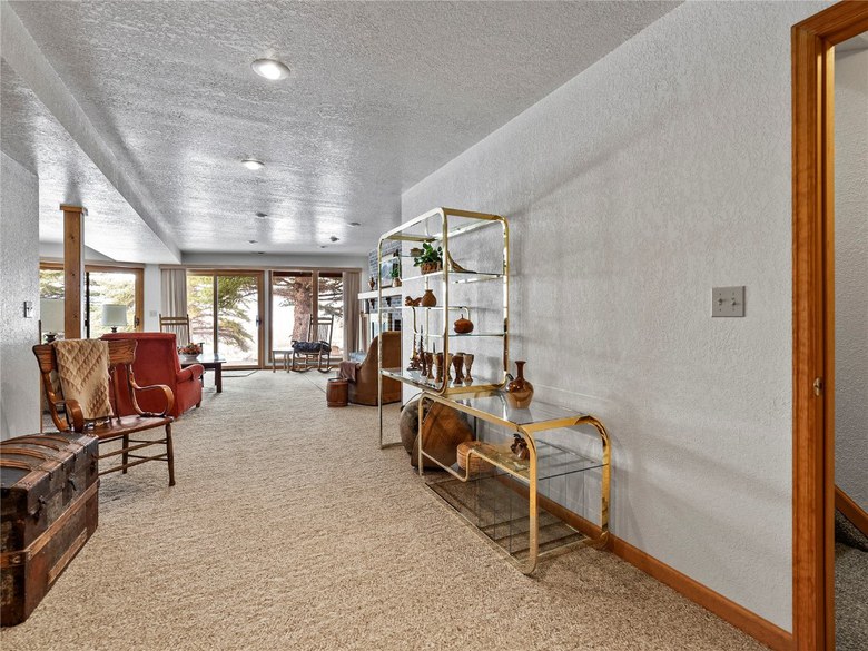 69 Mt Massive Trout Club, Leadville, CO 80461