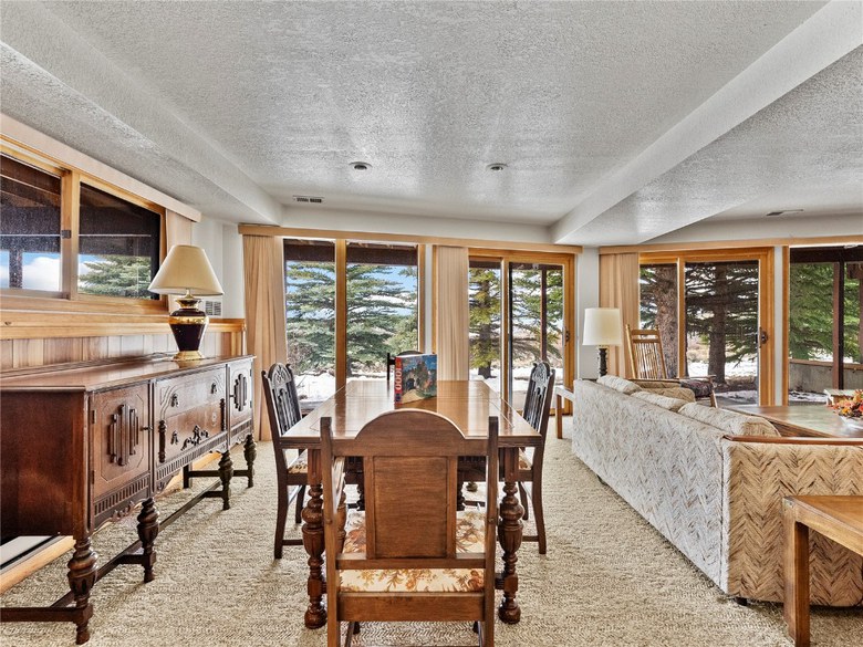 69 Mt Massive Trout Club, Leadville, CO 80461