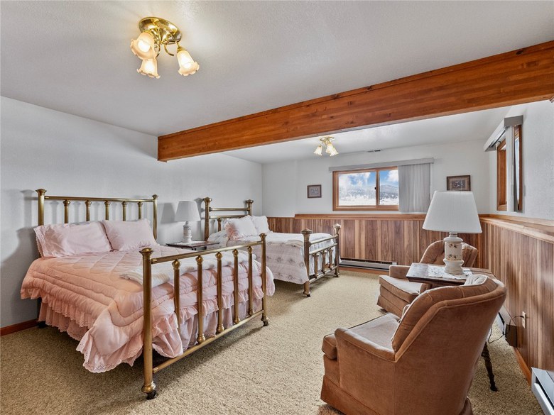 69 Mt Massive Trout Club, Leadville, CO 80461